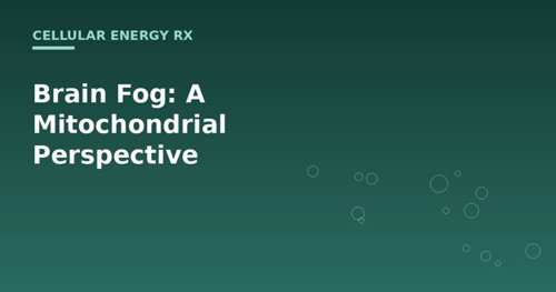 Brain Fog: A Mitochondrial Perspective