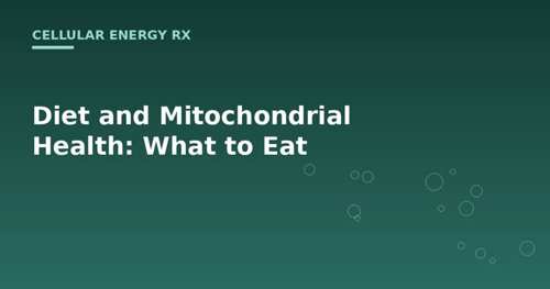 Diet and Mitochondrial Health: What to Eat