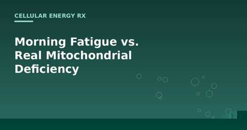 Morning Fatigue vs. Real Mitochondrial Deficiency