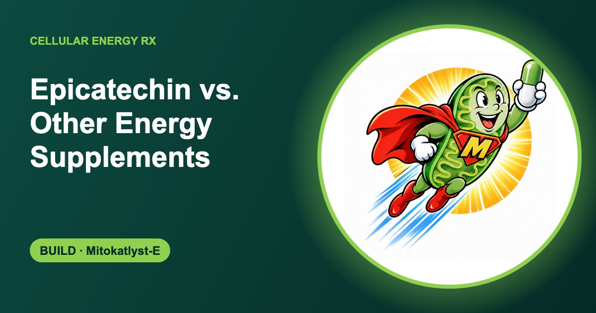 Epicatechin vs. Other Energy Supplements